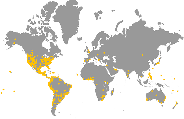 BYU-Pathway Worldwide virtual gatherings are being implemented worldwide in response to the COVID-19 outbreak.