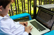 Young boy using a laptop computer