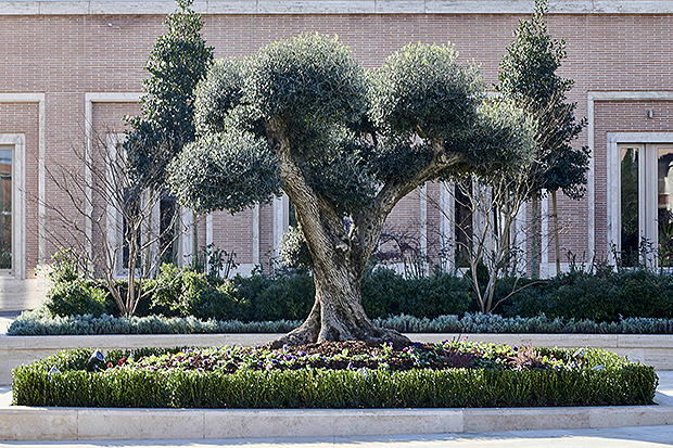 rome temple tour lds