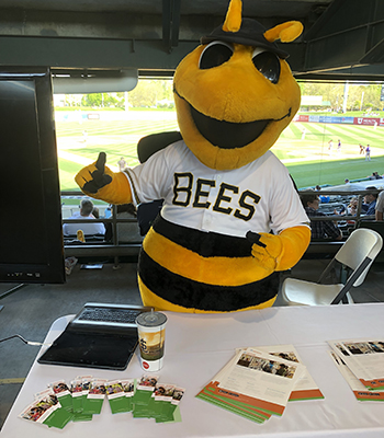 More Than 800 JustServe Volunteers Partner with Salt Lake Bees to Serve  Community - Church News and Events