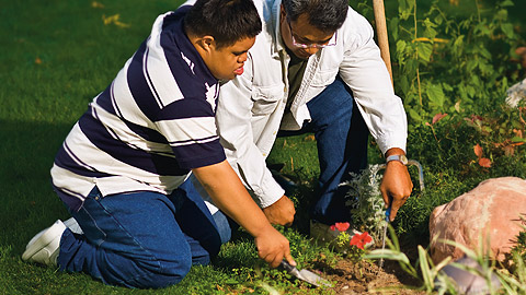 two people working together in a garden