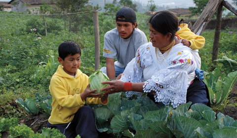 family in a garden