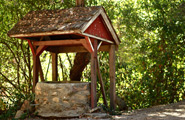 Forest Well