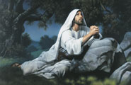 Jesus Christ praying in the garden of Gethsemane.