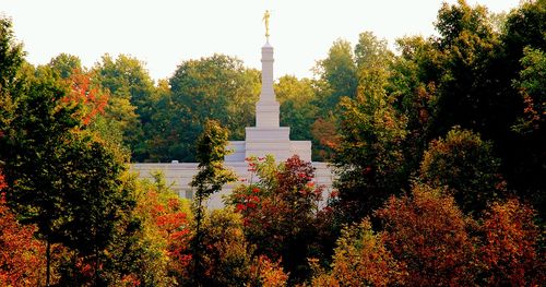 Palmyra New York Temple with spire seen through trees with autumn leaves.
