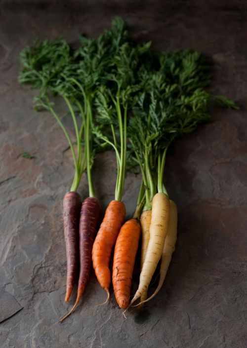 Different-colored carrots with leaves still attached.