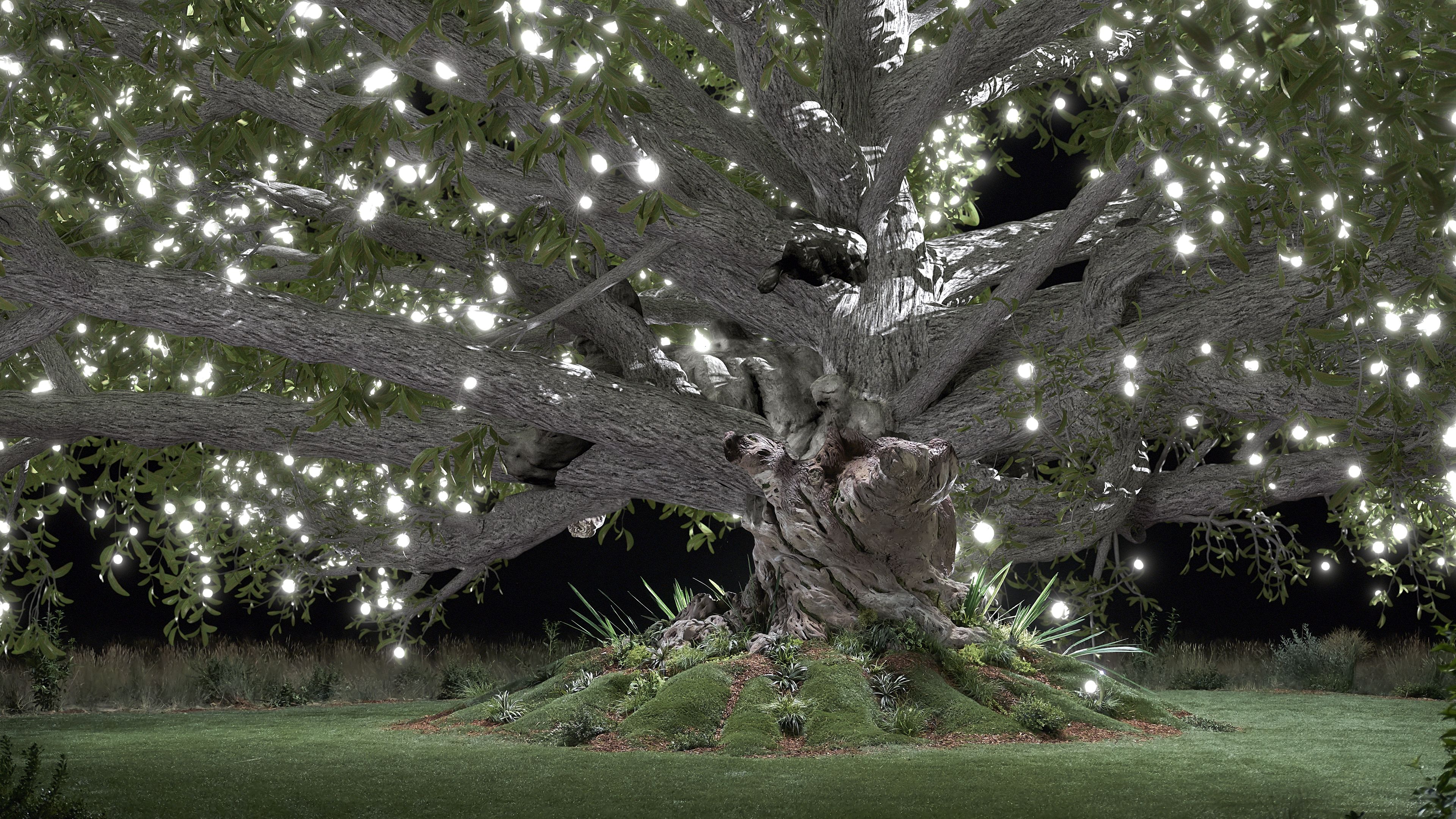 The tree of life appears in Lehi's vision.