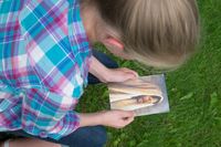 youth looking at picture of Christ