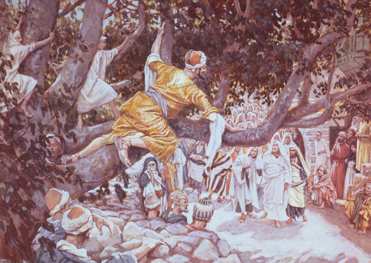 Zacchaeus in the Sycamore Tree, by James Tissot