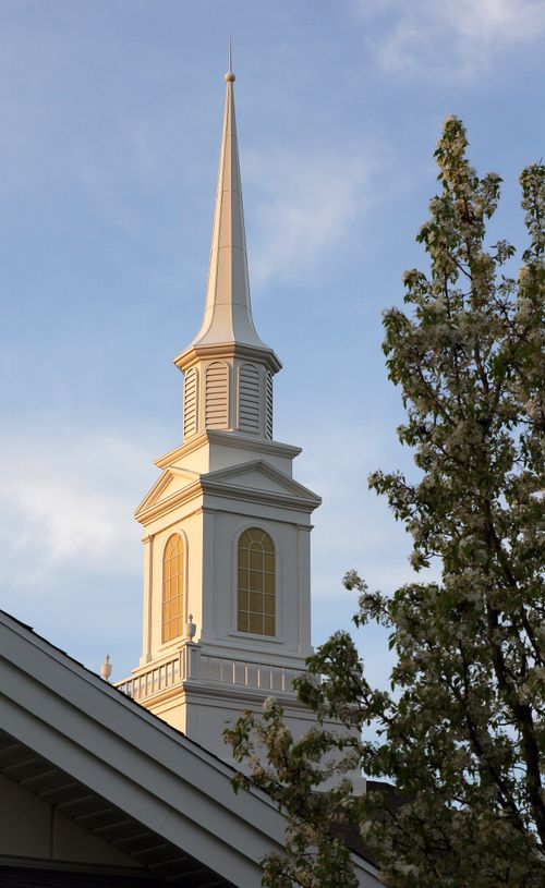 A close-up view of a white steeple next to a tree with a clear, blue sky.