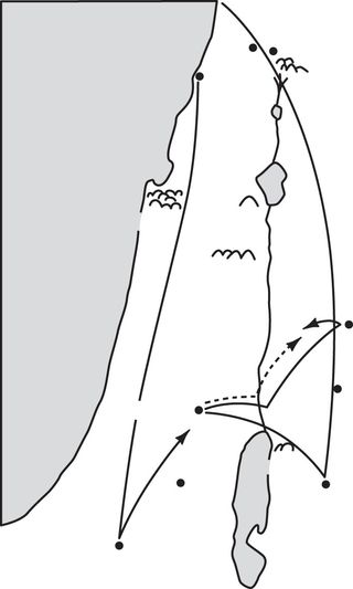 David quelled revolt