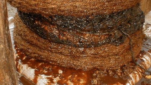 aceite rojo sangre en un lagar de olivos