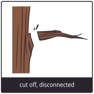 cut off, disconnected gospel symbol