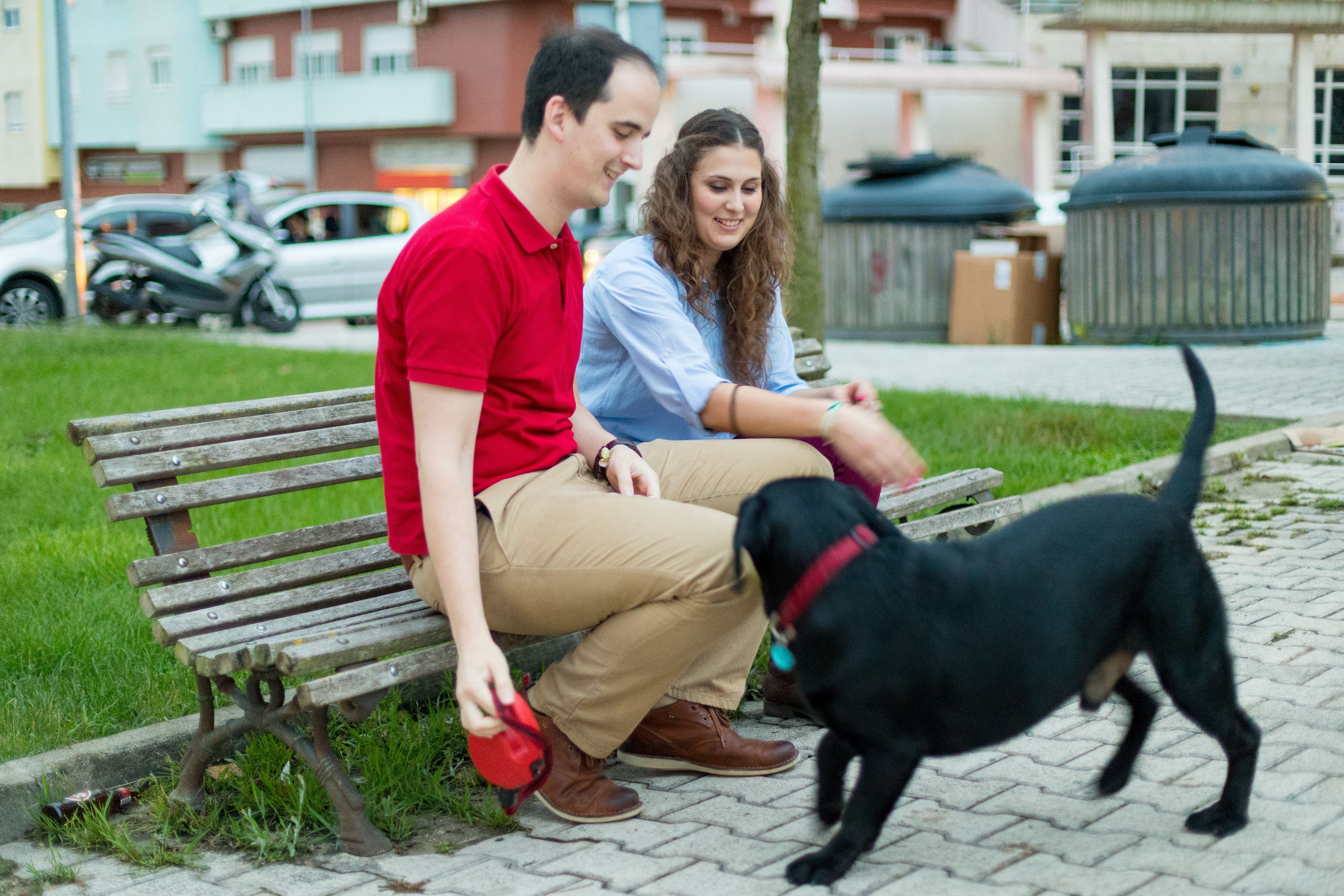 A young couple from Portugal sits on a bench and plays with a dog.