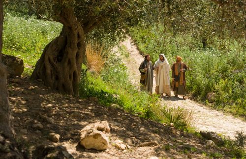 Jesus geht mit einigen Jüngern einen Weg entlang