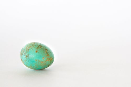 A teal-colored Easter egg that has been partially speckled by gold paint or leafing, resting on a plain white background.
