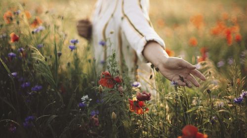 A picture of a young woman walking through a grass field. Her hand is extending as she touches the flowers. Her face is not visible.