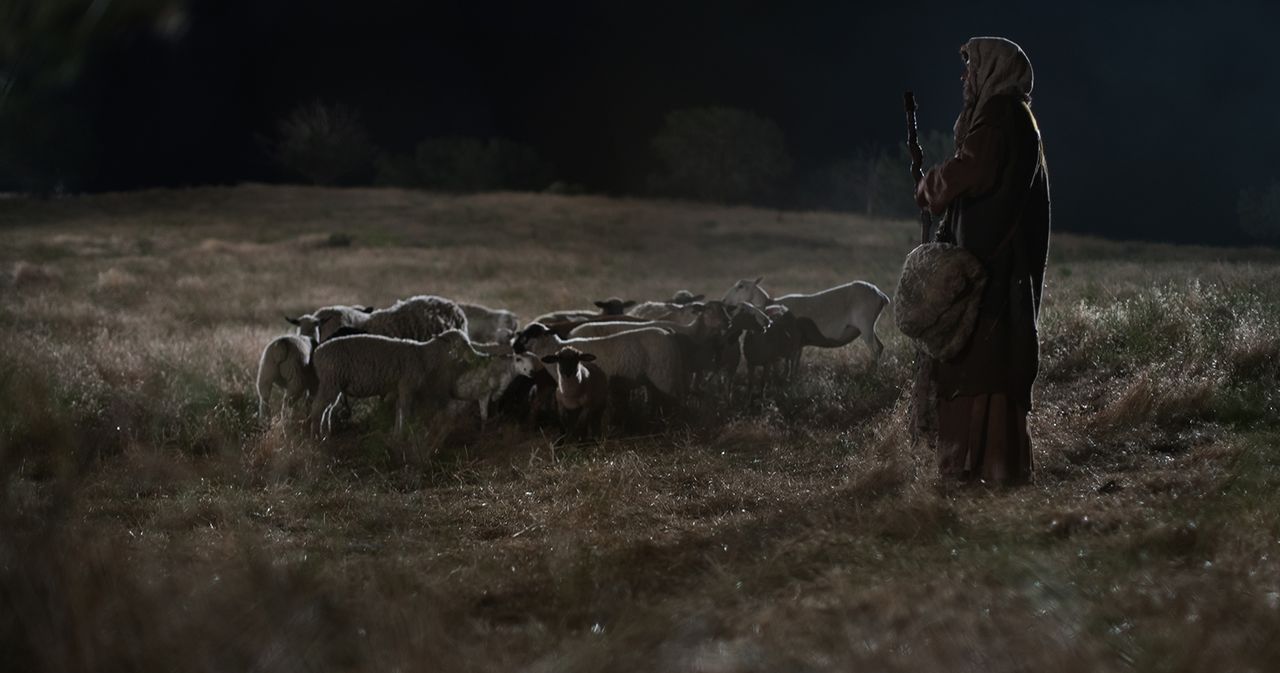 A Shepherd standing in a field with a small flock of sheep at night.  Outtakes include a shepherd sitting with a lamb in his lap, shepherds in a field with a bright light above and two shepherds.
