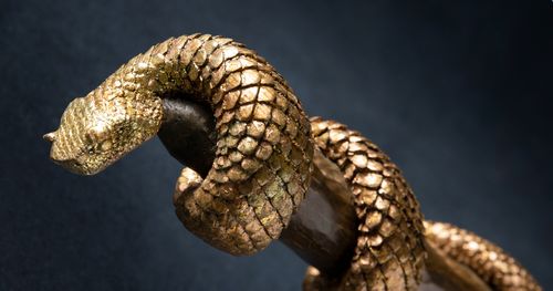 A representation of the bronze serpent raised up by Moses in the Old Testament. A snake is wrapped around a walking stick.
