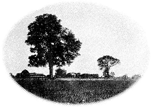 紐約菲也特，彼得‧惠特茂農場原址