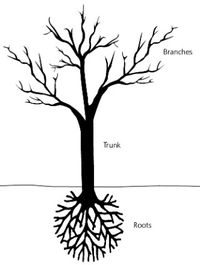tree with roots, trunk, branches