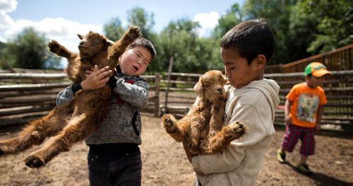 two boys holding baby goats