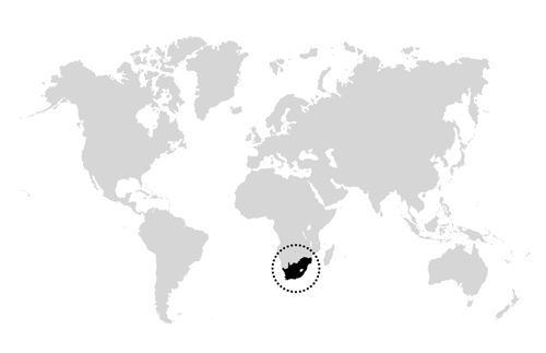 mapa del mundo con un círculo alrededor de Sudáfrica