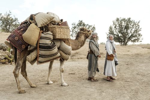 Lehi, Saria e un cammello