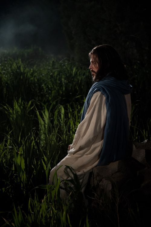 Mateo 26:36–56, Cristo ora en el jardín