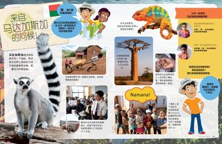 来自马达加斯加的问候