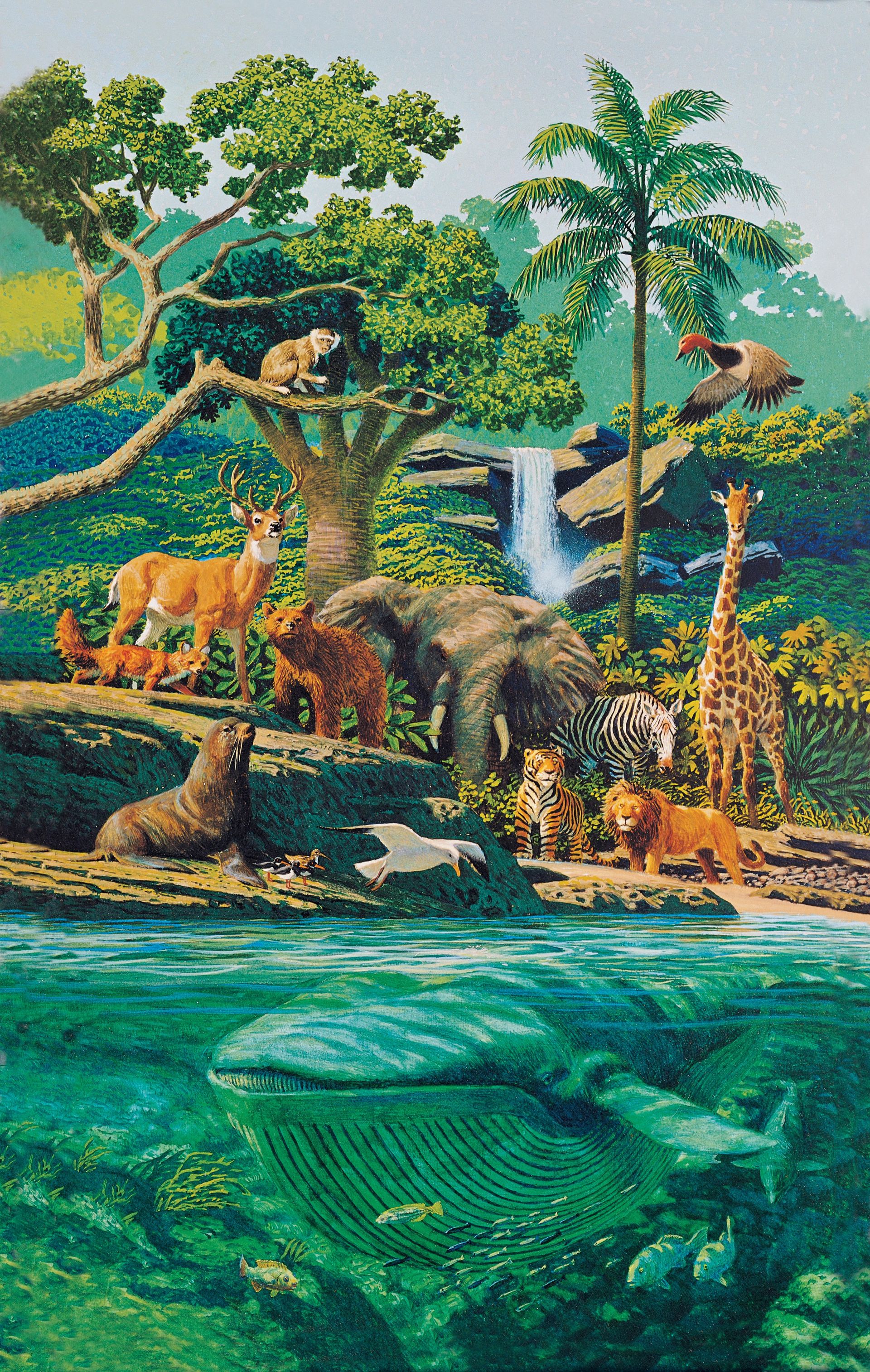 Creation—Living Creatures, by Stanley Galli (62483); GAK 100; nursery manual lesson 7, page 34; Primary manual 1-28; Primary manual 2-73; Primary manual 6-01; Genesis 1:20–25; Moses 2:20–25; Abraham 4:20–25