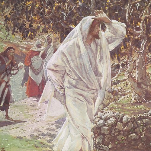 耶穌走過無花果樹