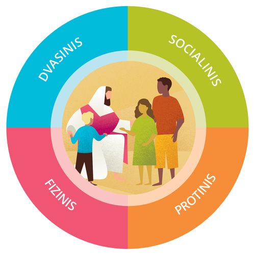 dvasinė sritis, socialinė sritis, intelektualinė sritis, fizinė sritis