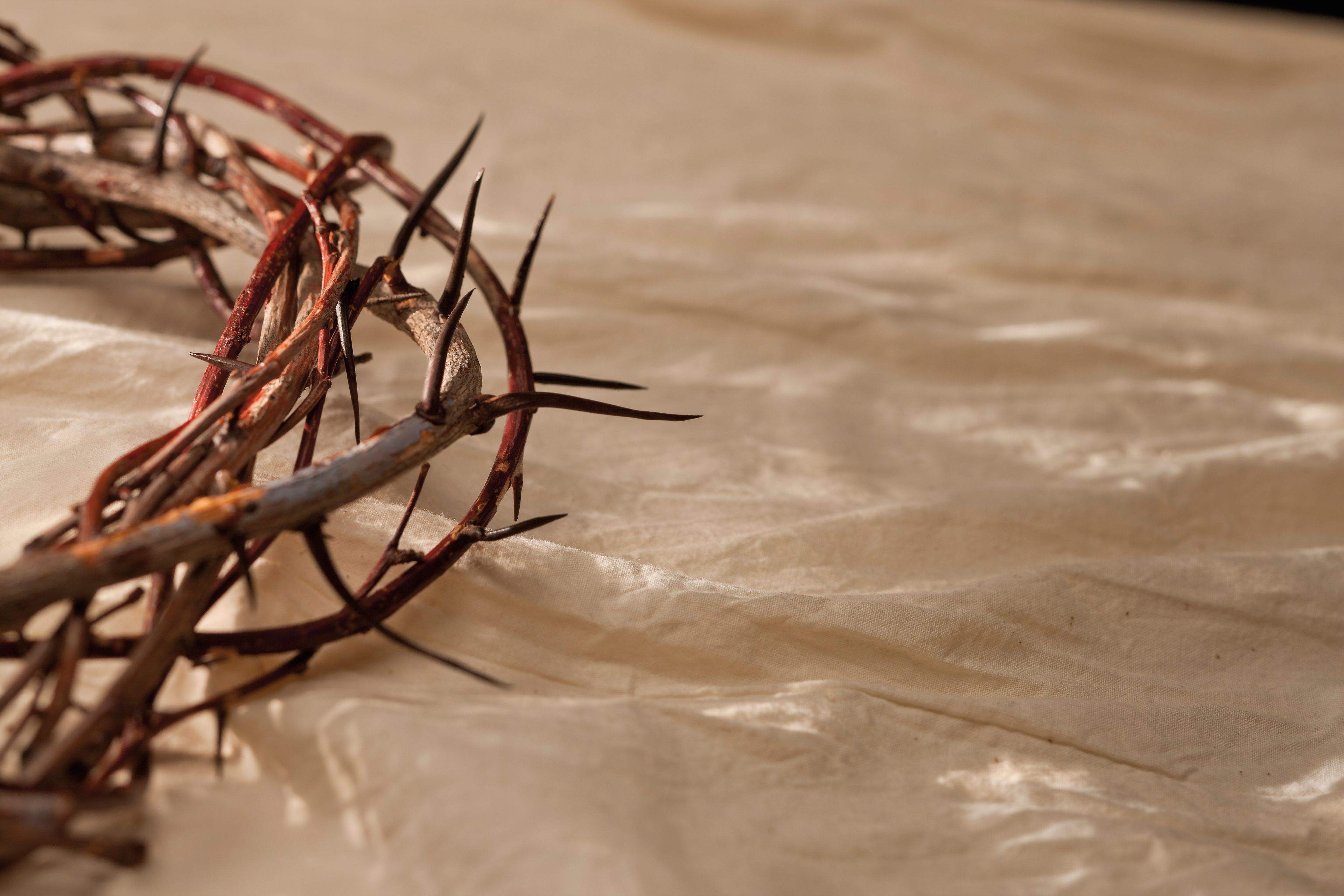 A crown of thorns resting on a piece of white linen.