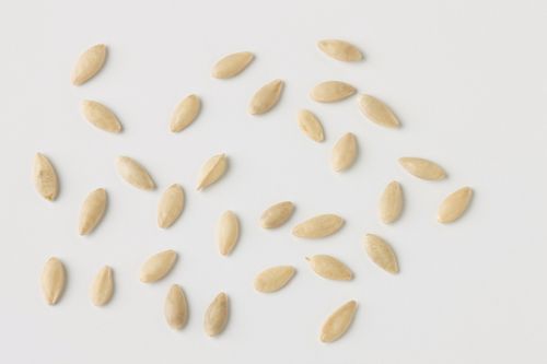 A cluster of seeds spread out on a white background.