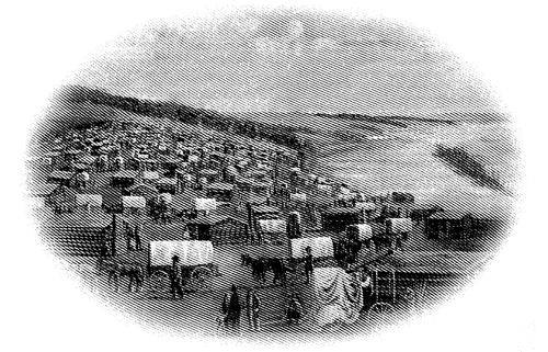 先驅者在冬季營