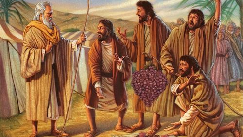 Josué y Caleb hablan con Moisés