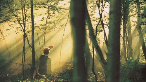 Joseph Smith, Jr. kneeling in the Sacred Grove during the First Vision. There are shafts of light shining down on Joseph.