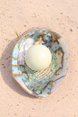 A photo of a white pearl in a seashell, sitting on white sand.