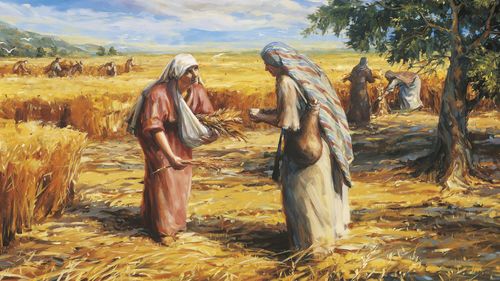 Ruth gleaning in the field and Naomi bringing water