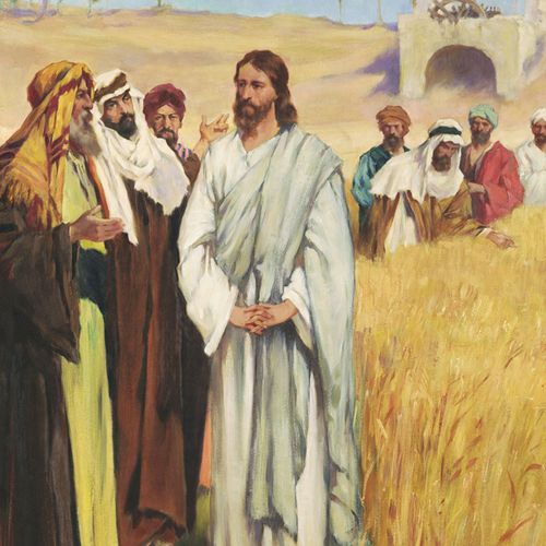 Jesús y otras personas en un campo de sembrados