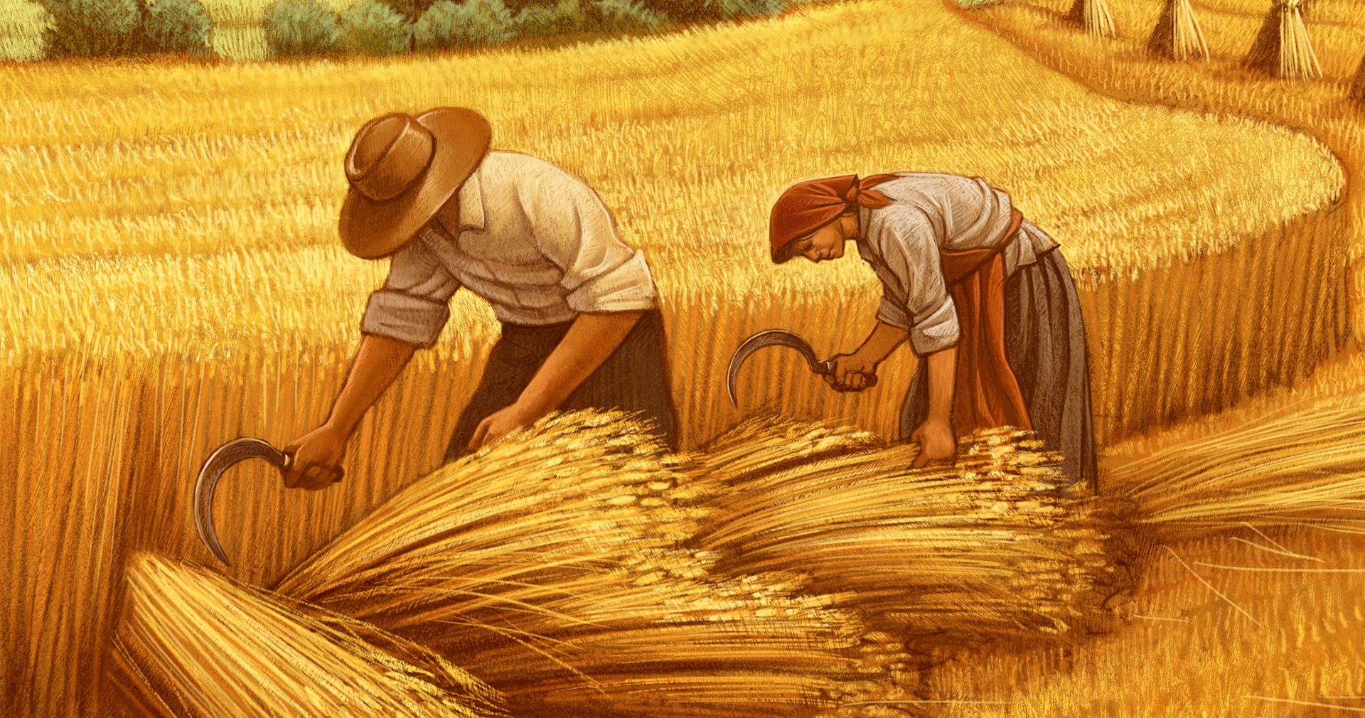 Illustration of harvesting wheat