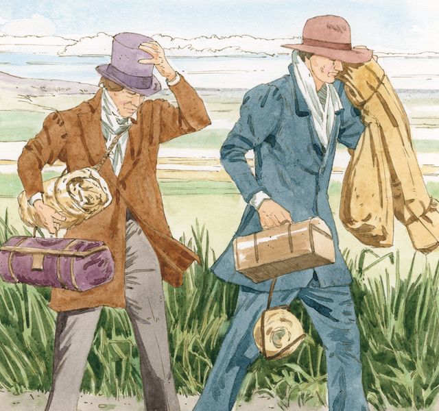 Hymn book. Благочестивая профессия. Учение и заветы джозефа смита. Учения и заветы. Lds благословения.