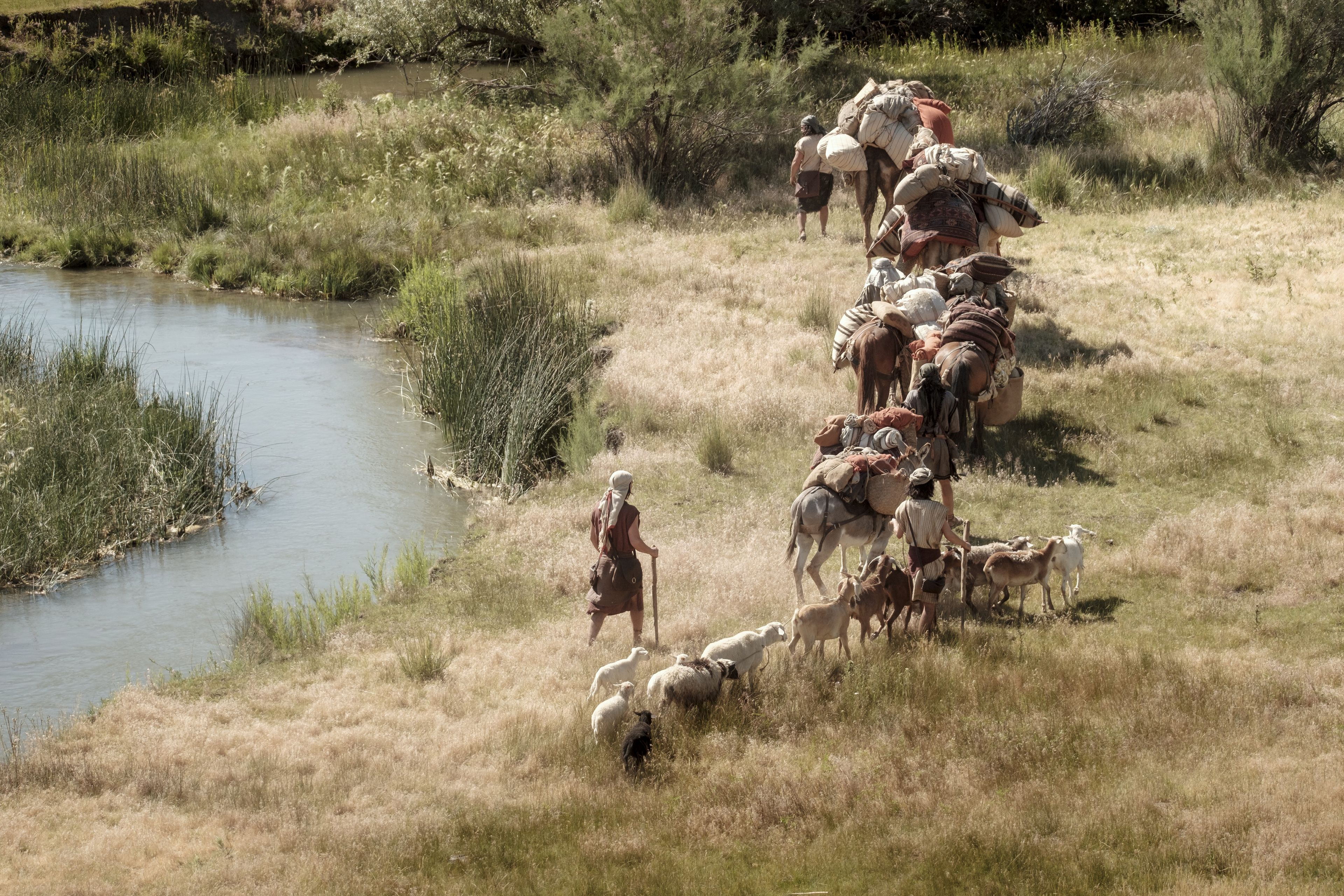 니파이, 샘, 그리고 레뮤엘이 아버지의 무리에서 낙타와 당나귀, 양을 이끈다.
