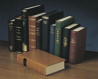 Bibles in many languages