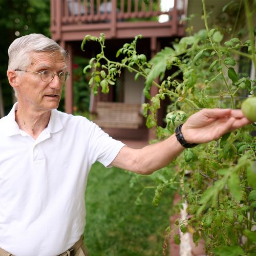 man looking at plants in garden