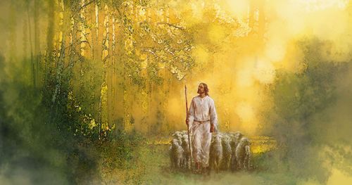 Jesús camina guiando a unas ovejas
