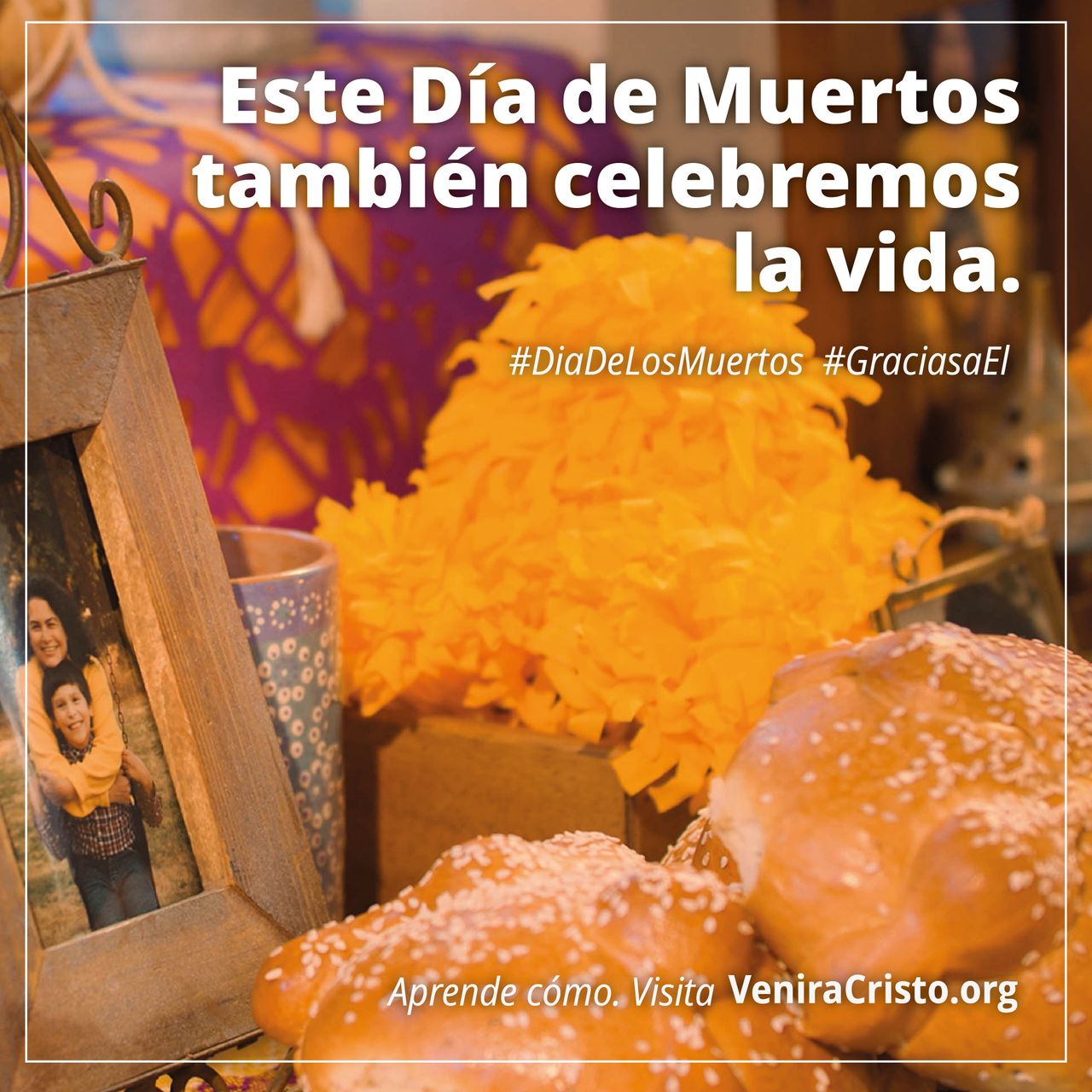 Meme - Este Día de Muertos celebramos la vida