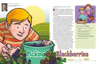 Picking Blackberries