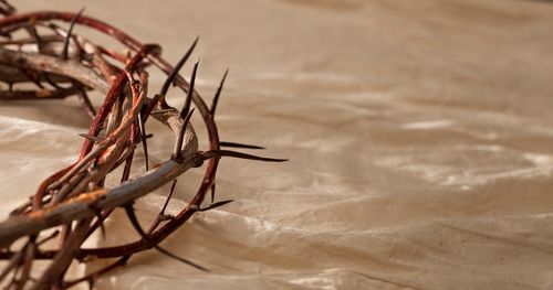 A crown of thorns photographed against a piece of cloth.